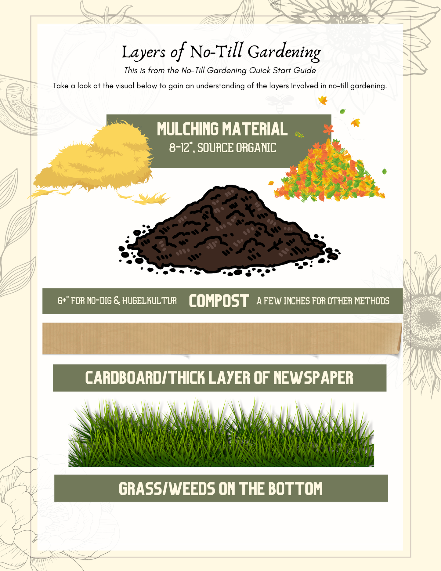 Beginner's Guide to Gardening