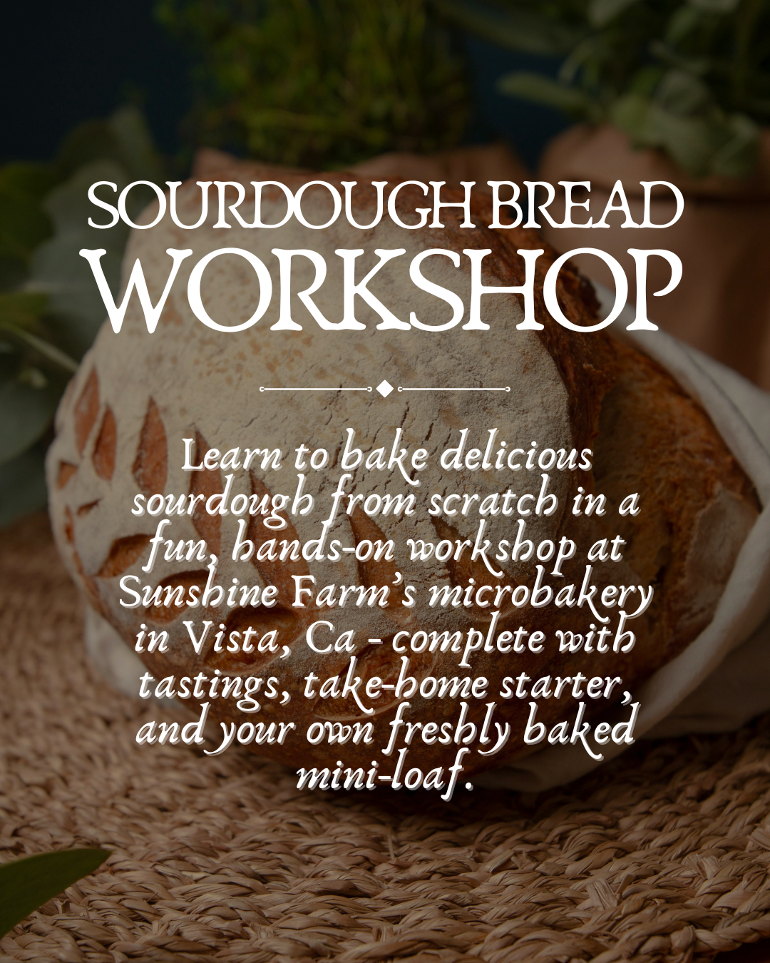 Hands-on Sourdough Workshop