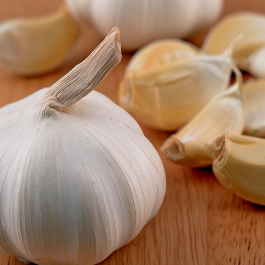 5 Ways to Use Homegrown Garlic