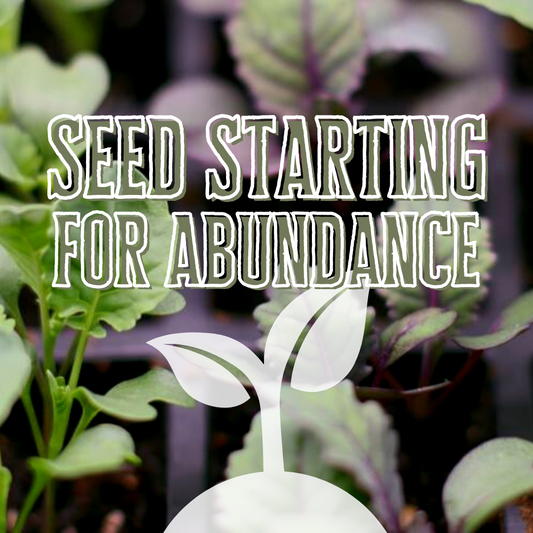 Seed Starting for Abundance: A Course To Walk You Through Step by Step of the Seed Starting Process