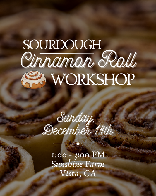 Sourdough Cinnamon Roll Workshop