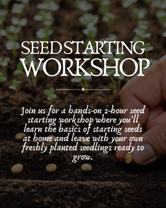 Gardening Workshops